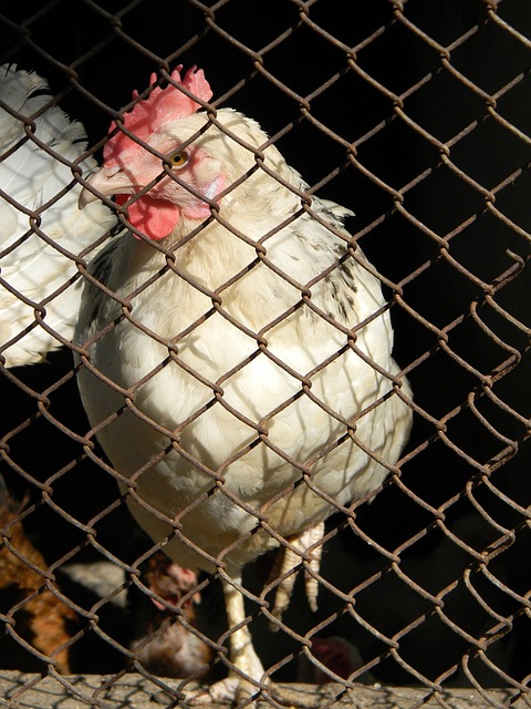 他早在三年 他早在三年