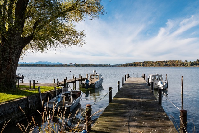 作出巨大贡 作出巨大贡