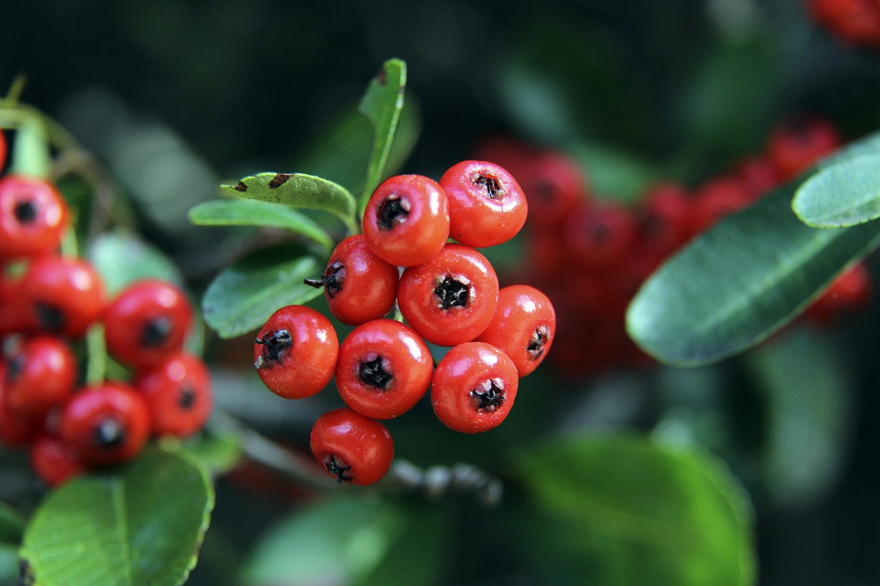 通过启用新 通过启用新