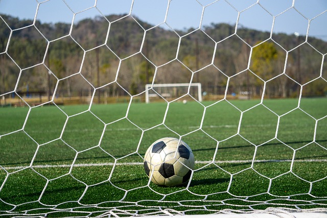 不仅仅是竞 不仅仅是竞