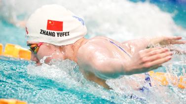 多元化的发 多元化的发